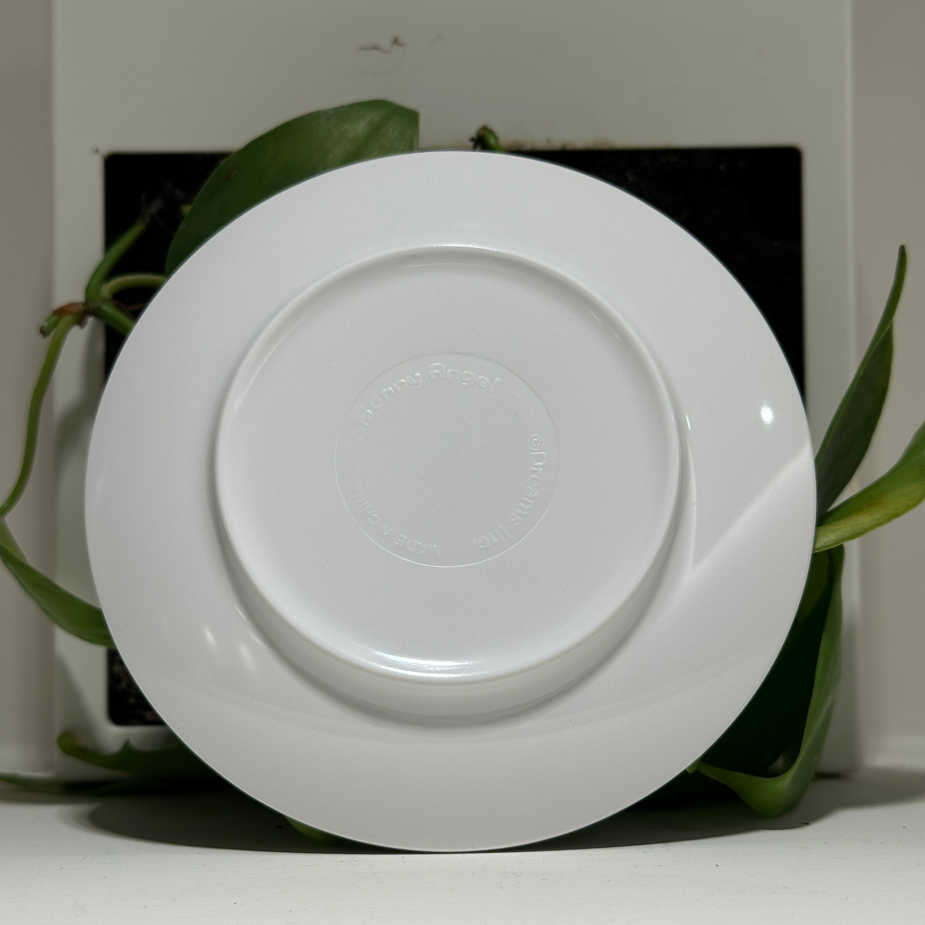 Plate (Dreaming)