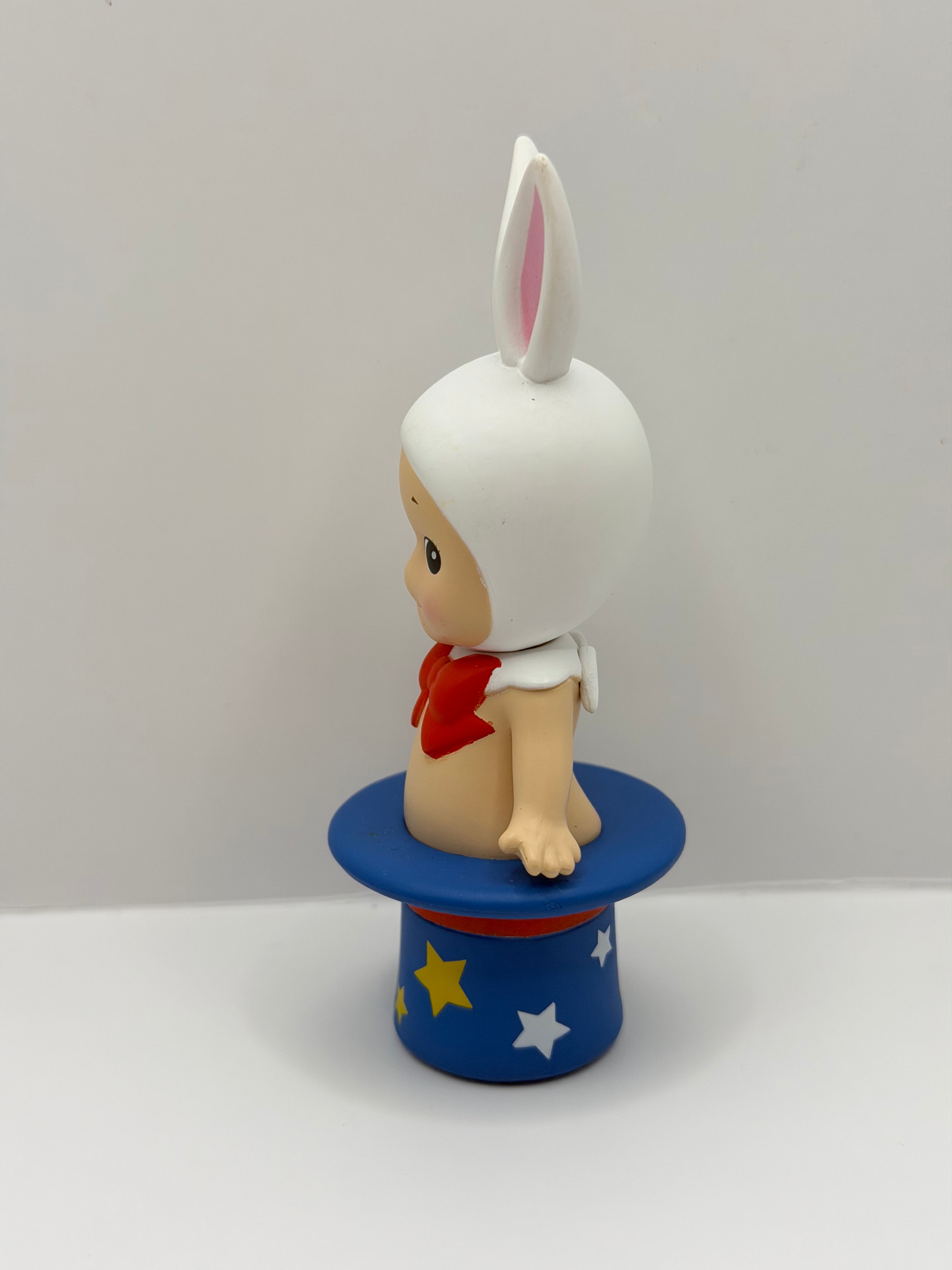 Circus Secret Rabbit