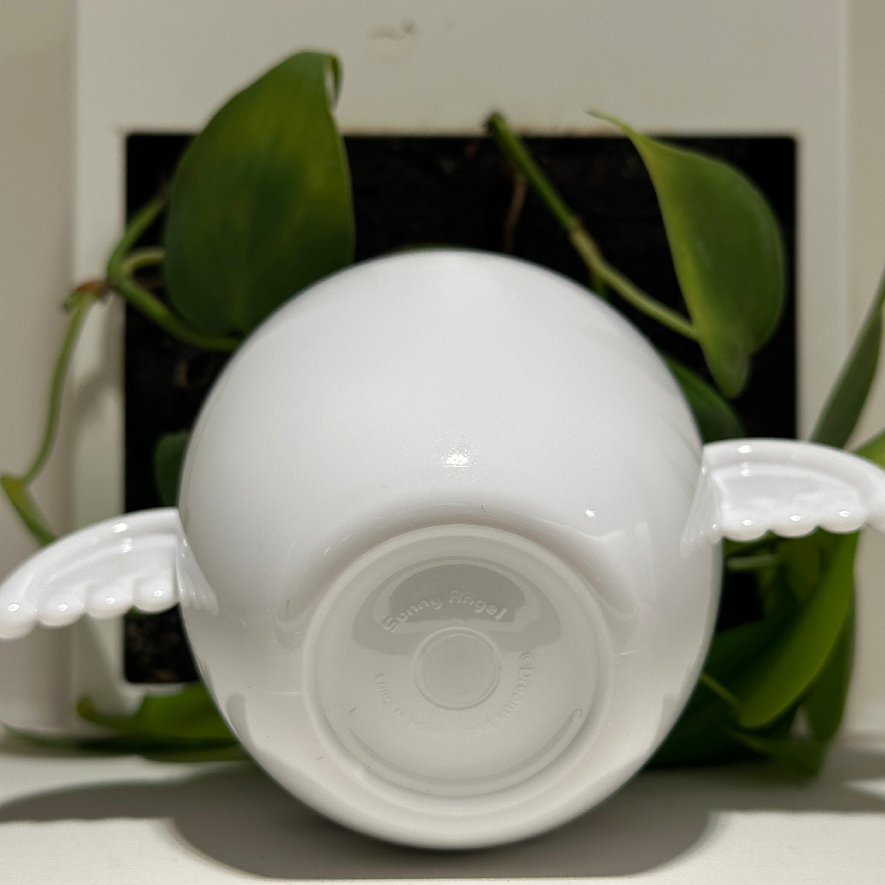 Cup (Dreaming)