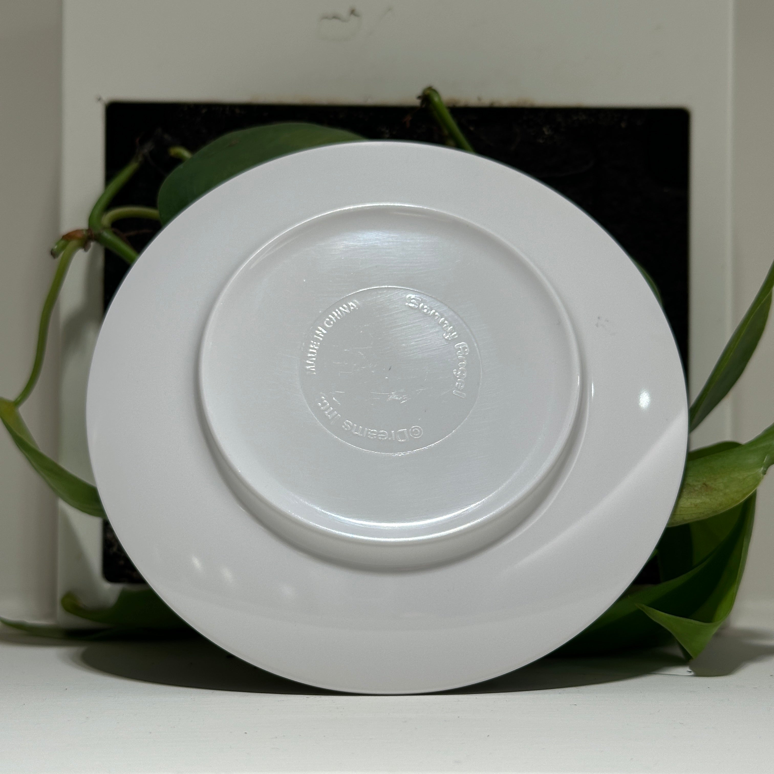 Plate (Strawberry)