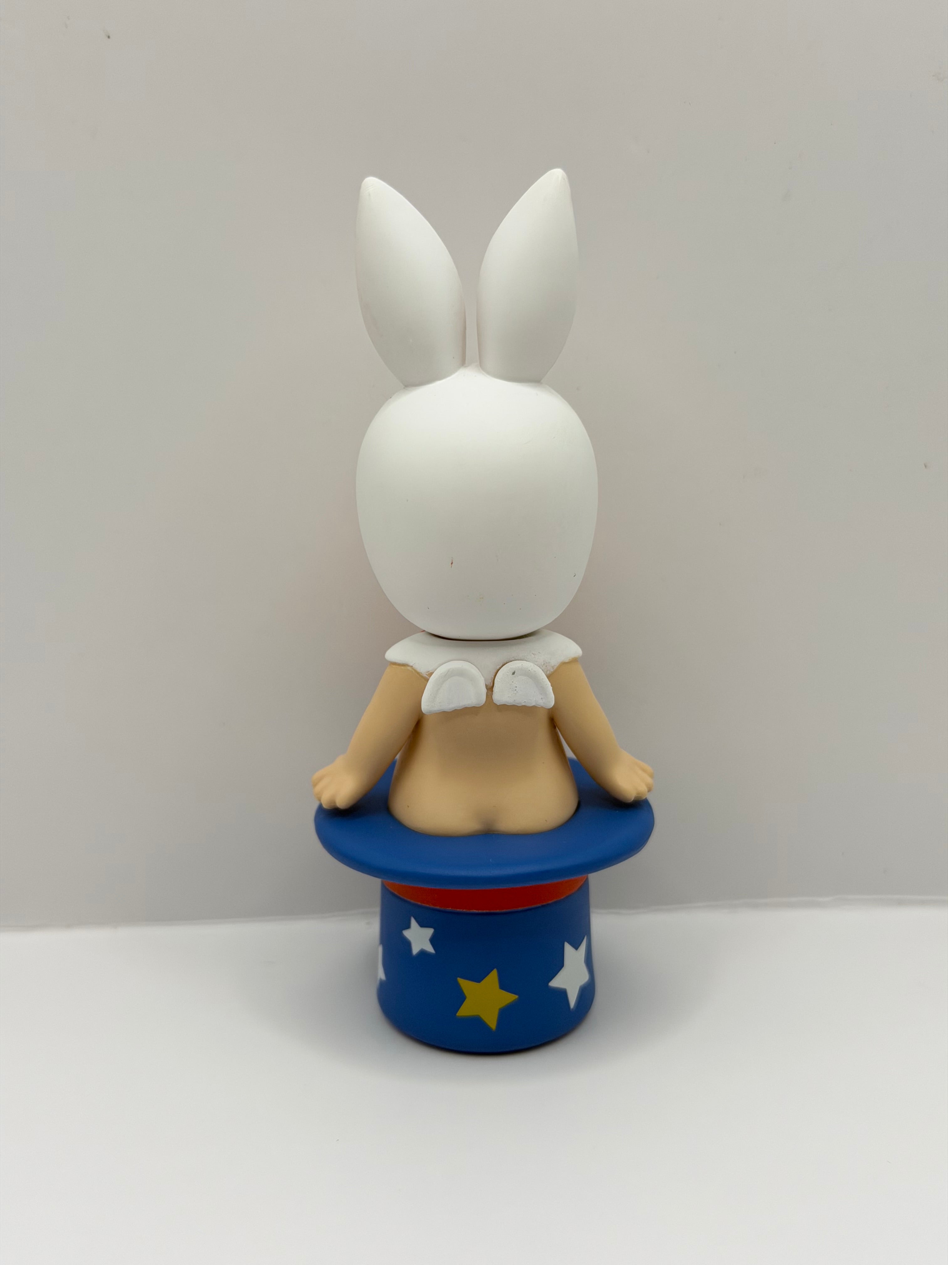 Circus Secret Rabbit