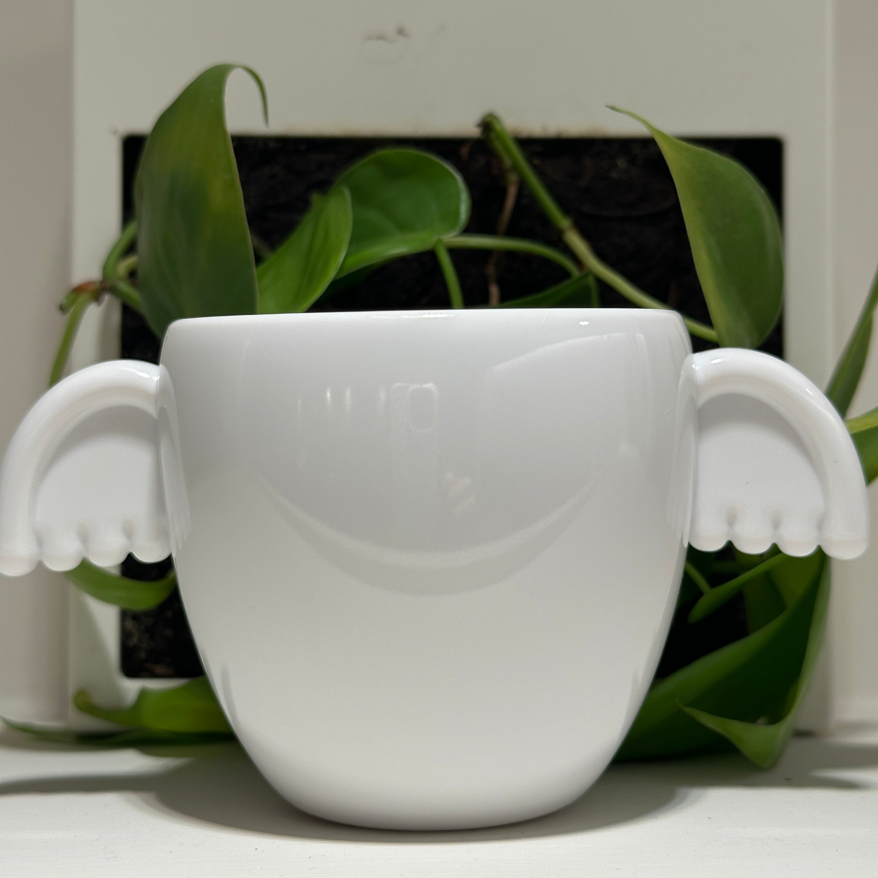 Cup (Dreaming)