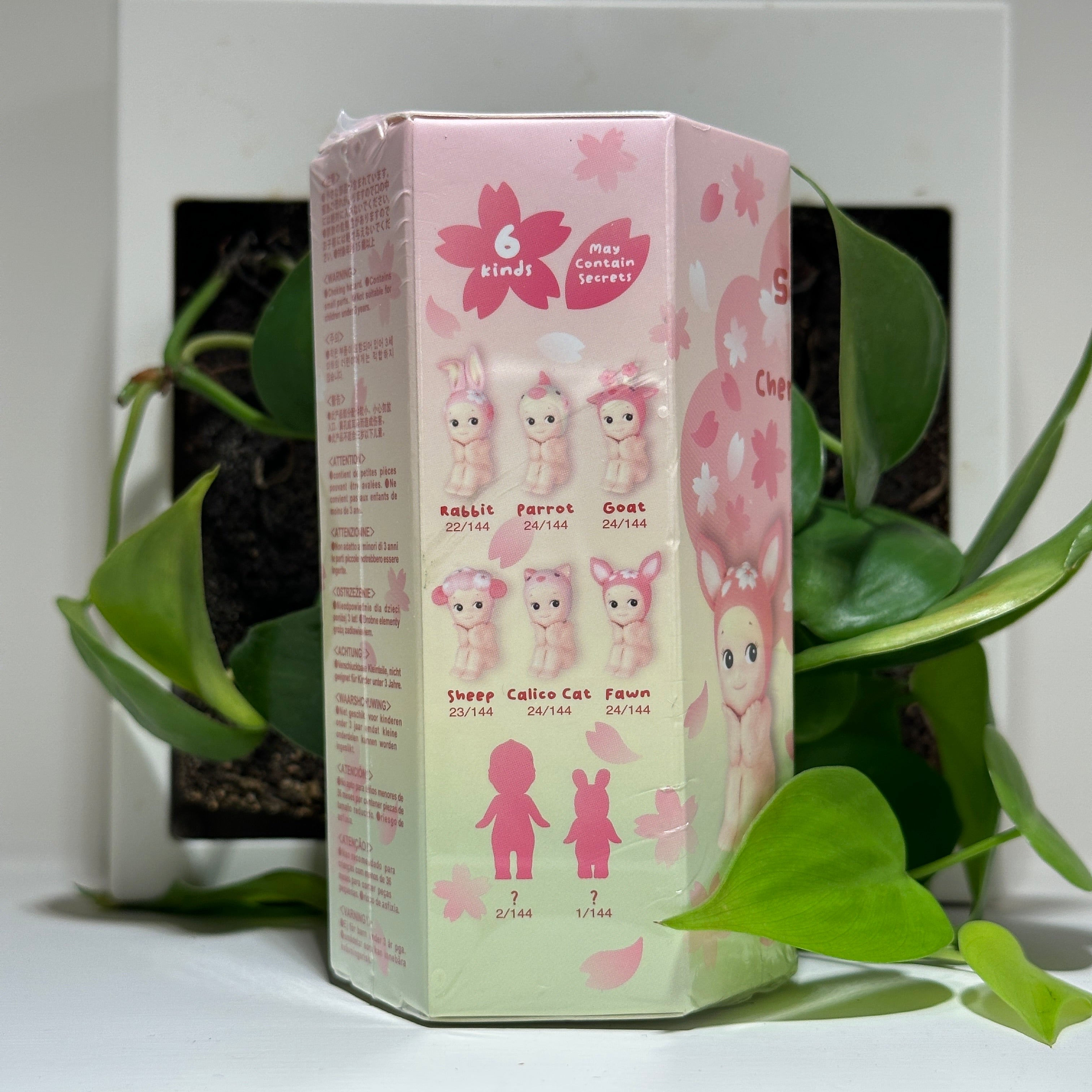Cherry Blossom Hanami Edition