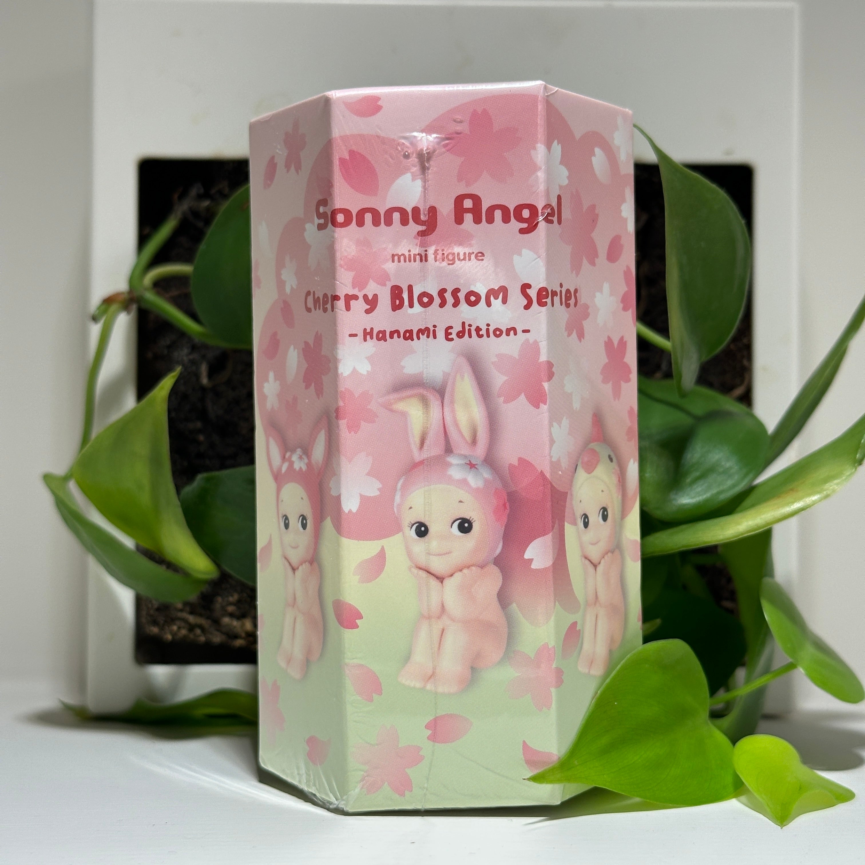 Cherry Blossom Hanami Edition