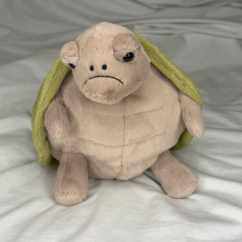 Timmy Turtle