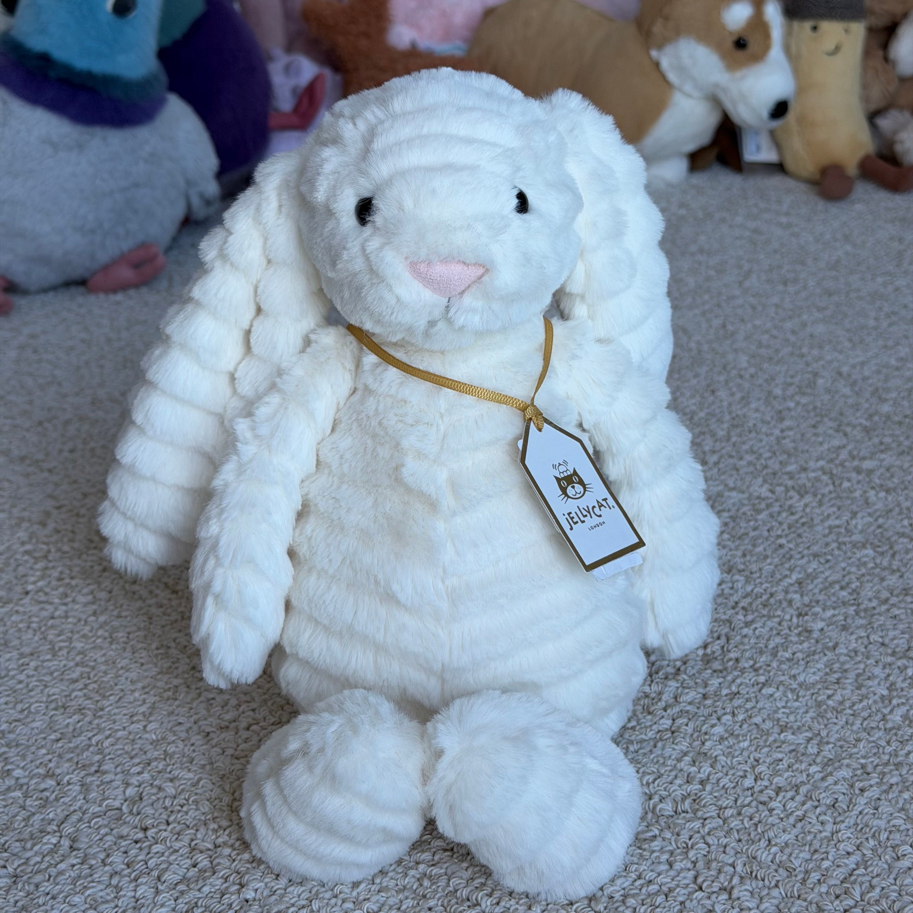 Medium Nimbus Bunny