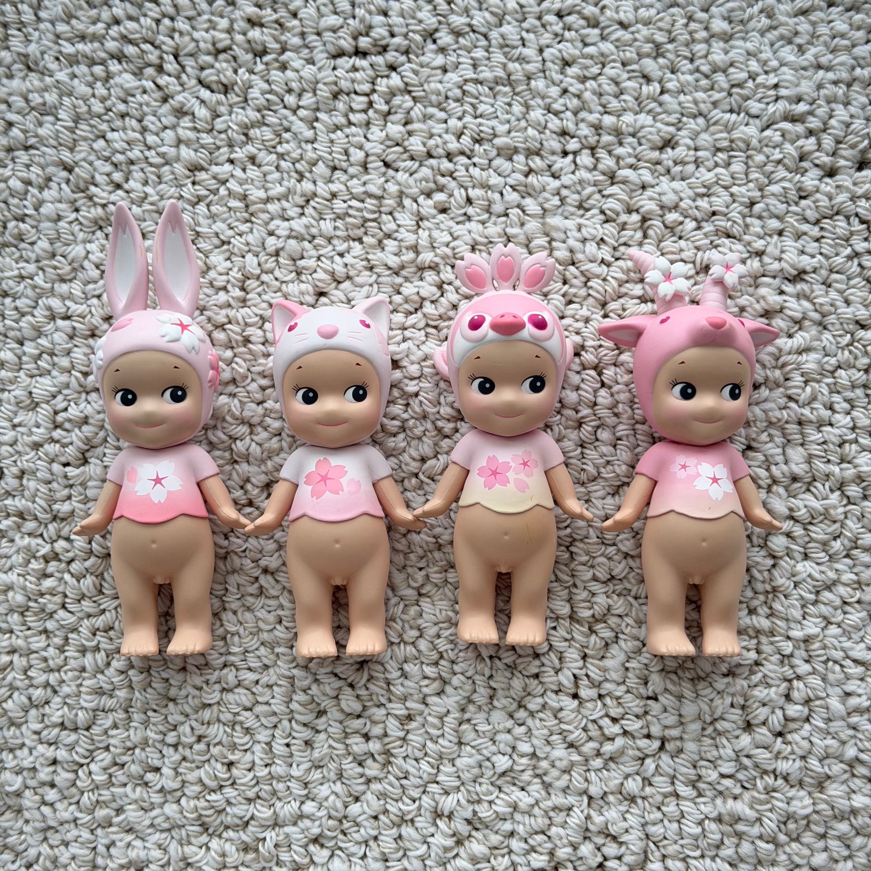 Opened Cherry Blossom 2019 Series