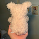 Little Pig