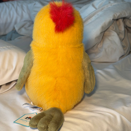 Budgeby Parrot