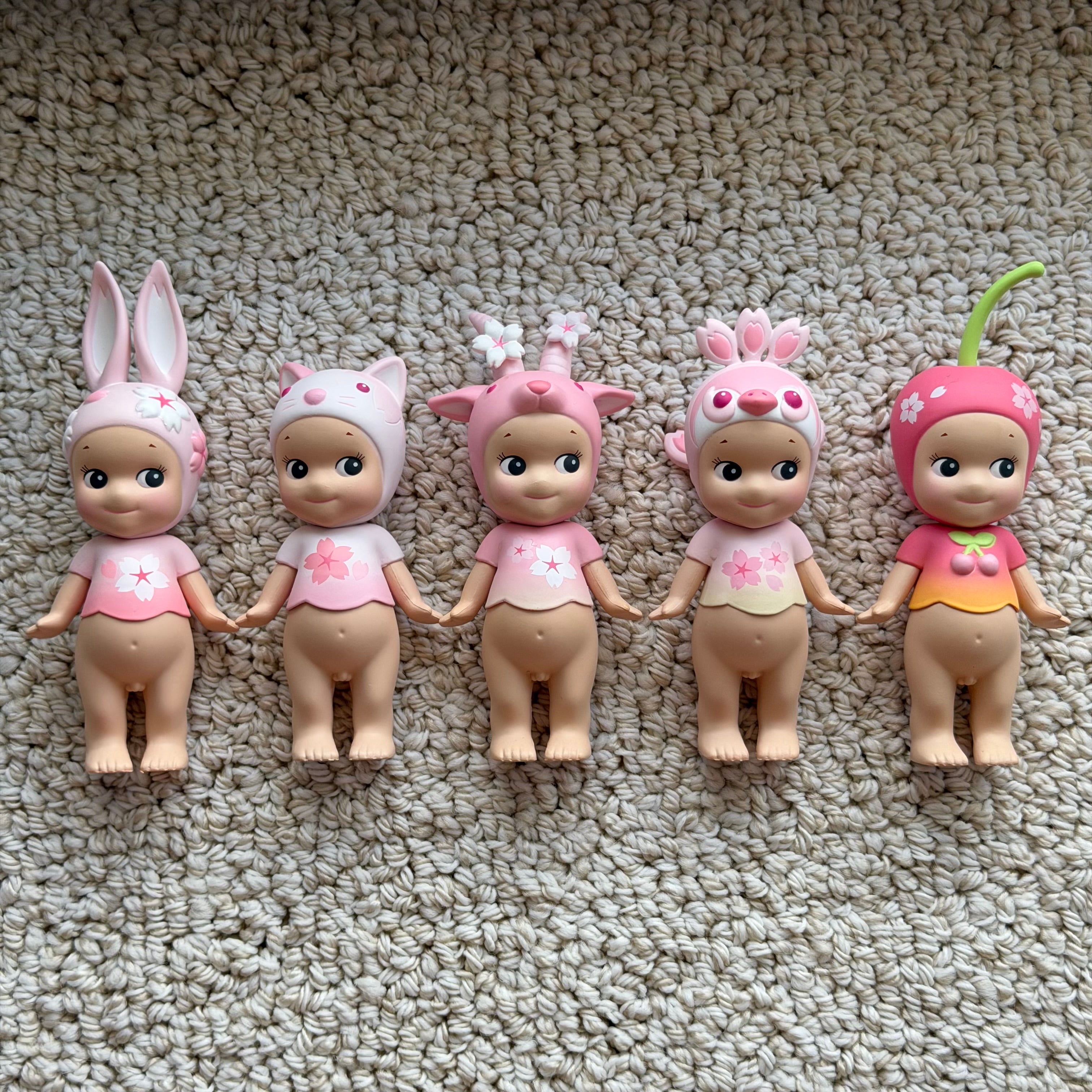 Opened Cherry Blossom 2019 Series