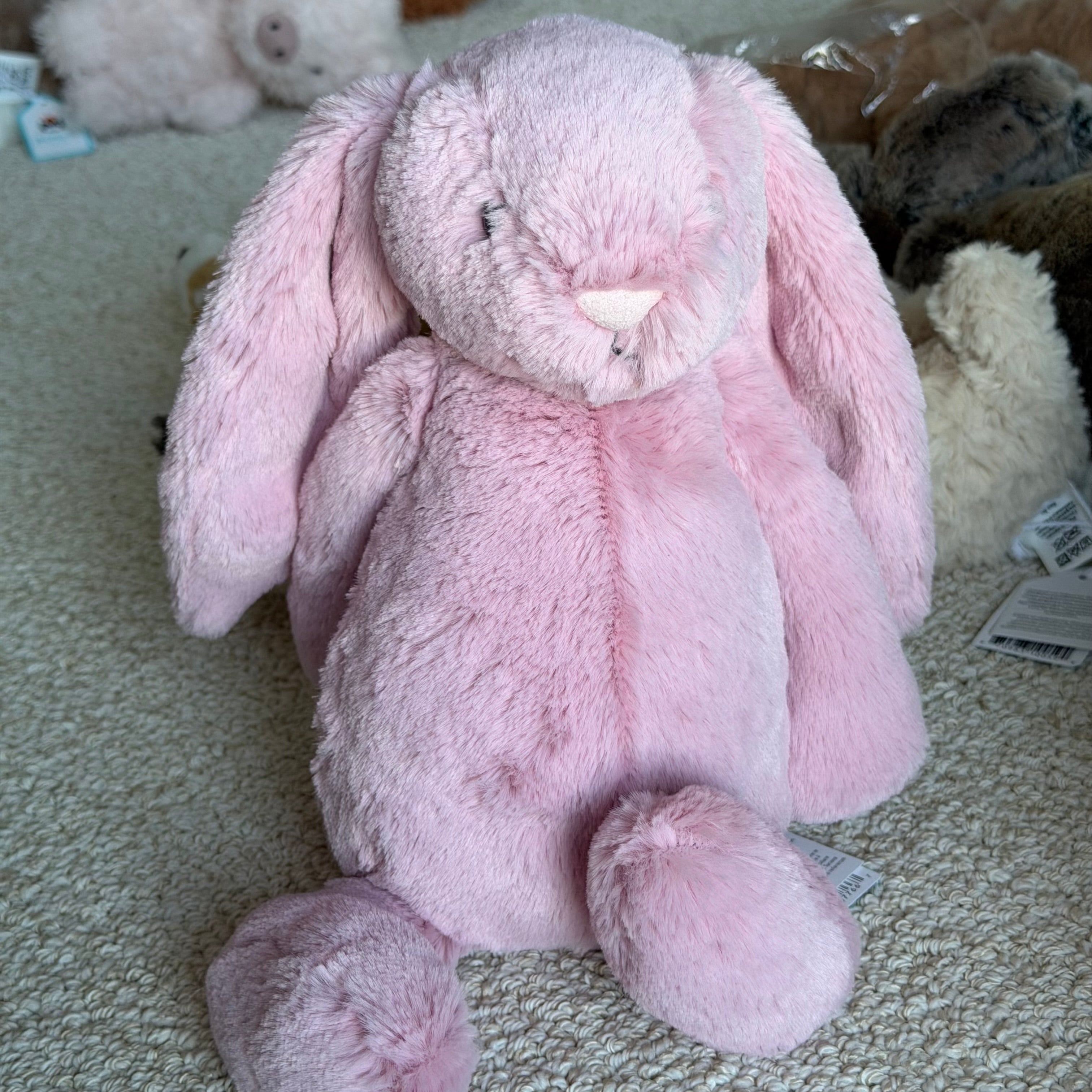 Meduim Bashful Tulip Pink Bunny