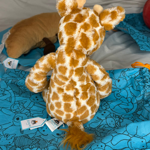 Bashful Giraffe