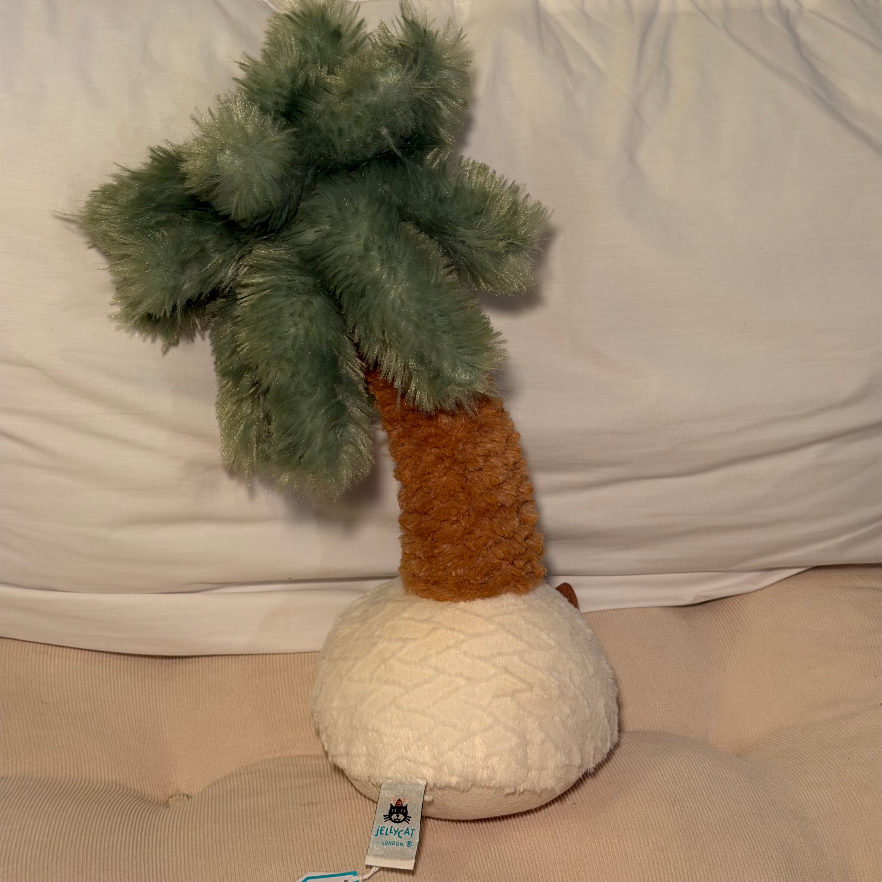 Pammie Palm Tree