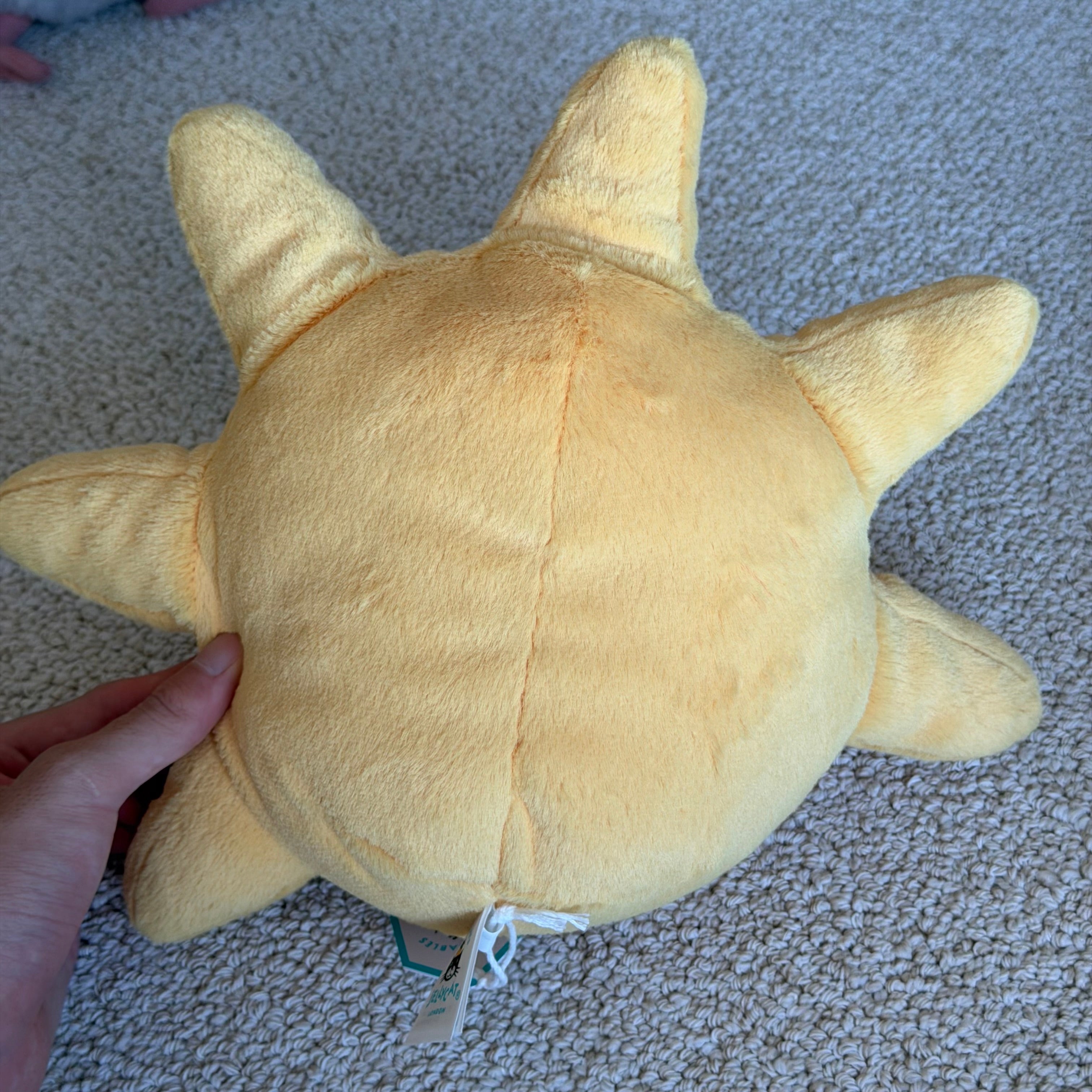 Sun