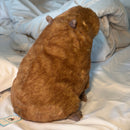 Clyde Capybara