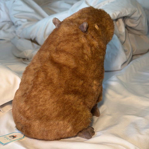 Clyde Capybara