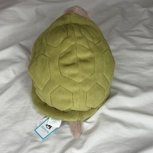 Timmy Turtle