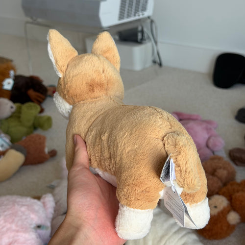 Betty Corgi