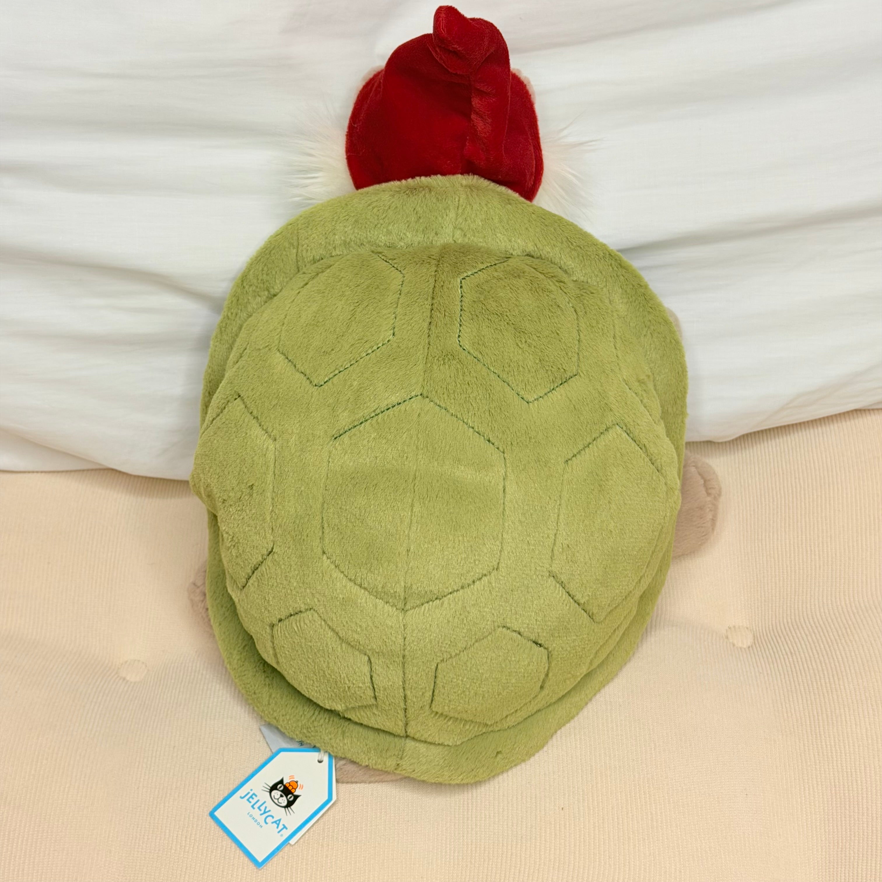 Timmy Turtle Garden Gnome