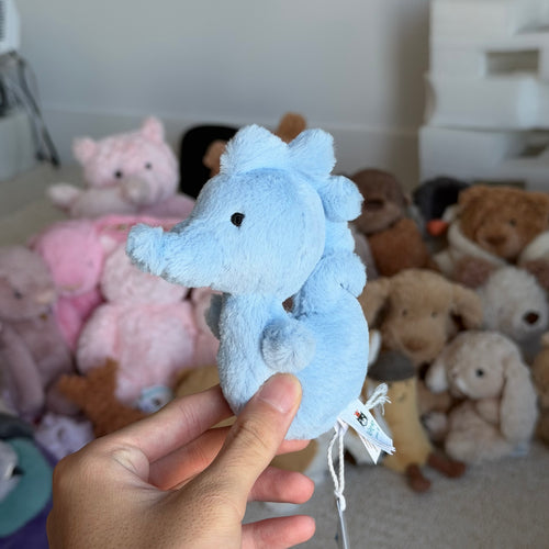 Fluffy Seahorse