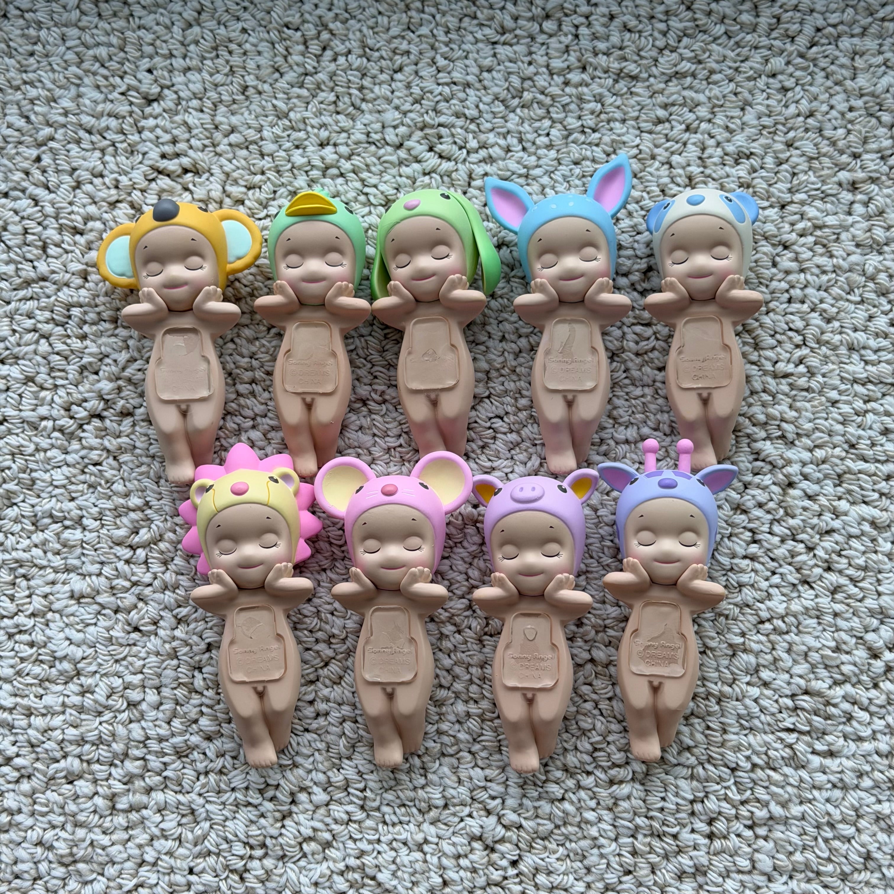 Opened Dreaming Hippers Series