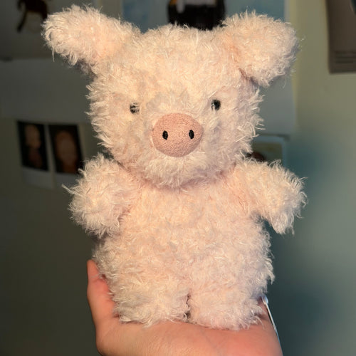 Little Pig