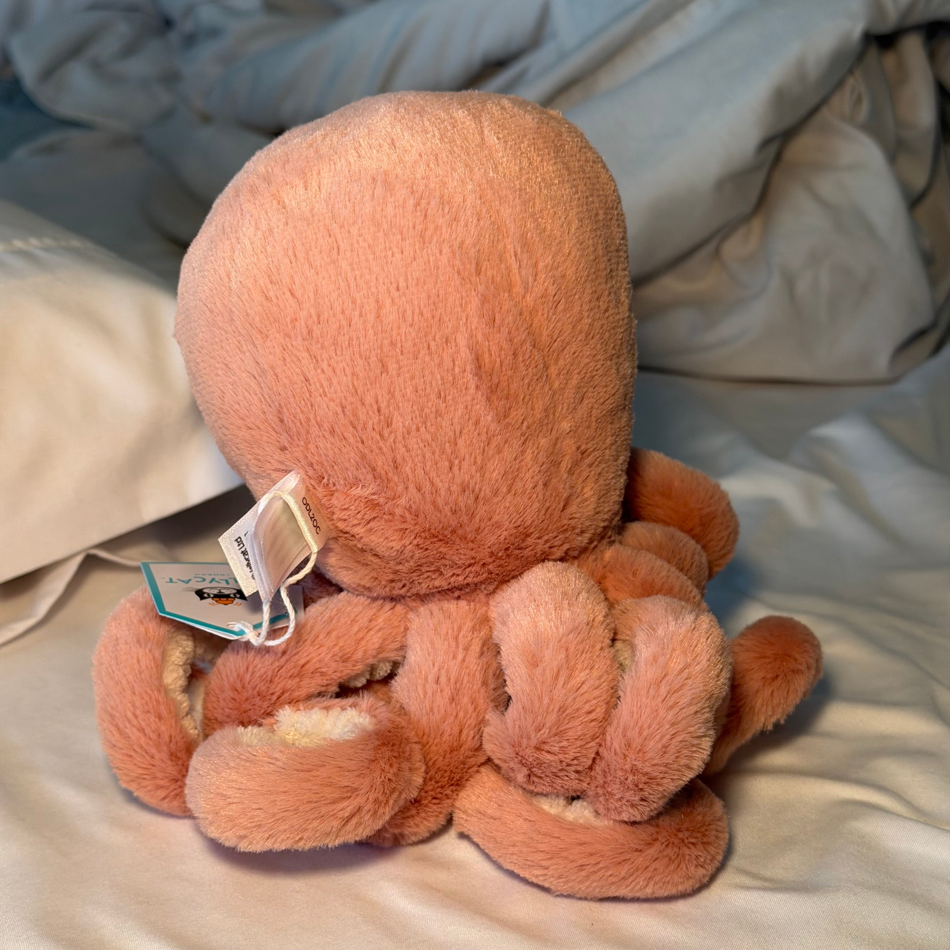 Small Odell Octopus