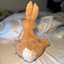 Horticus Hare