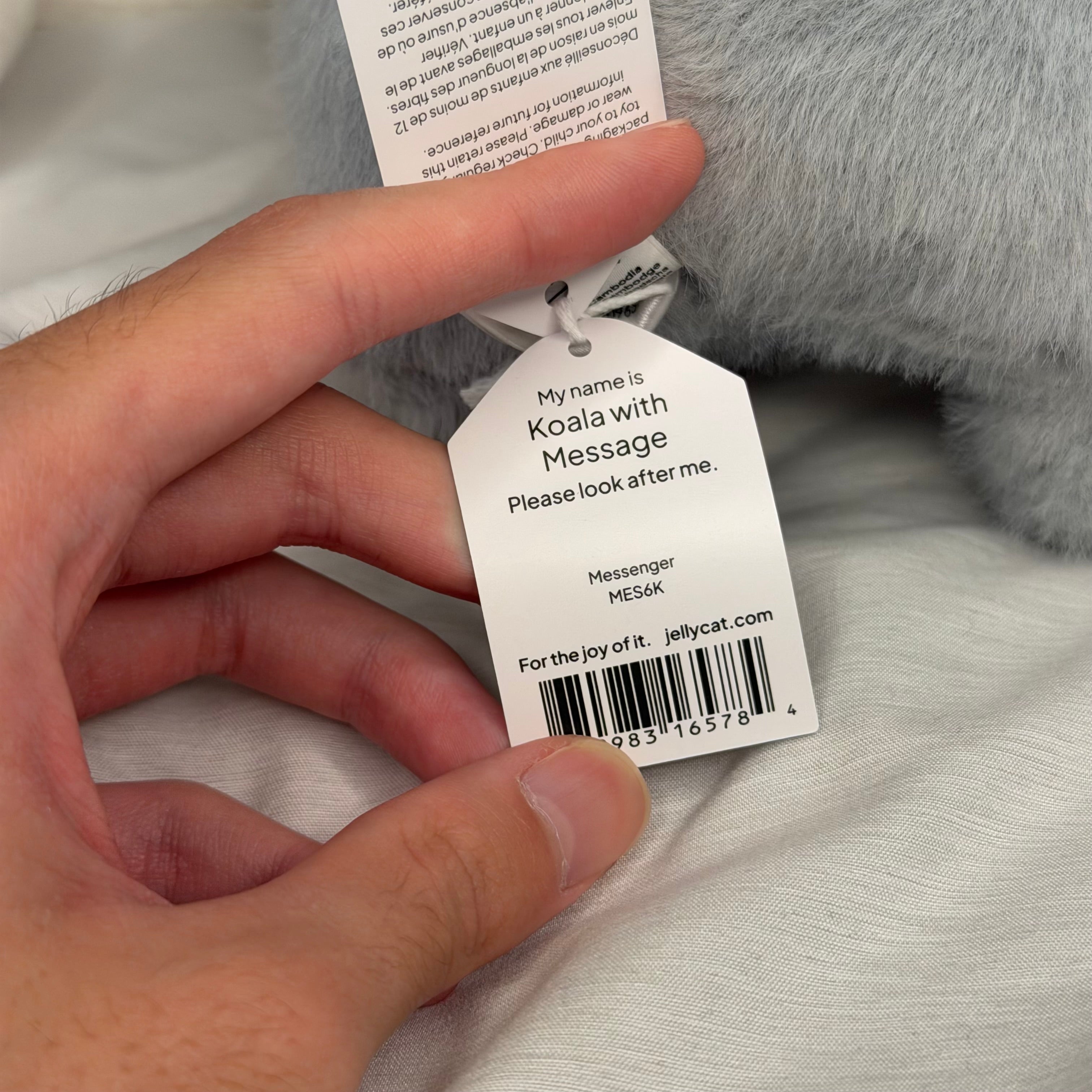 Koala with Message