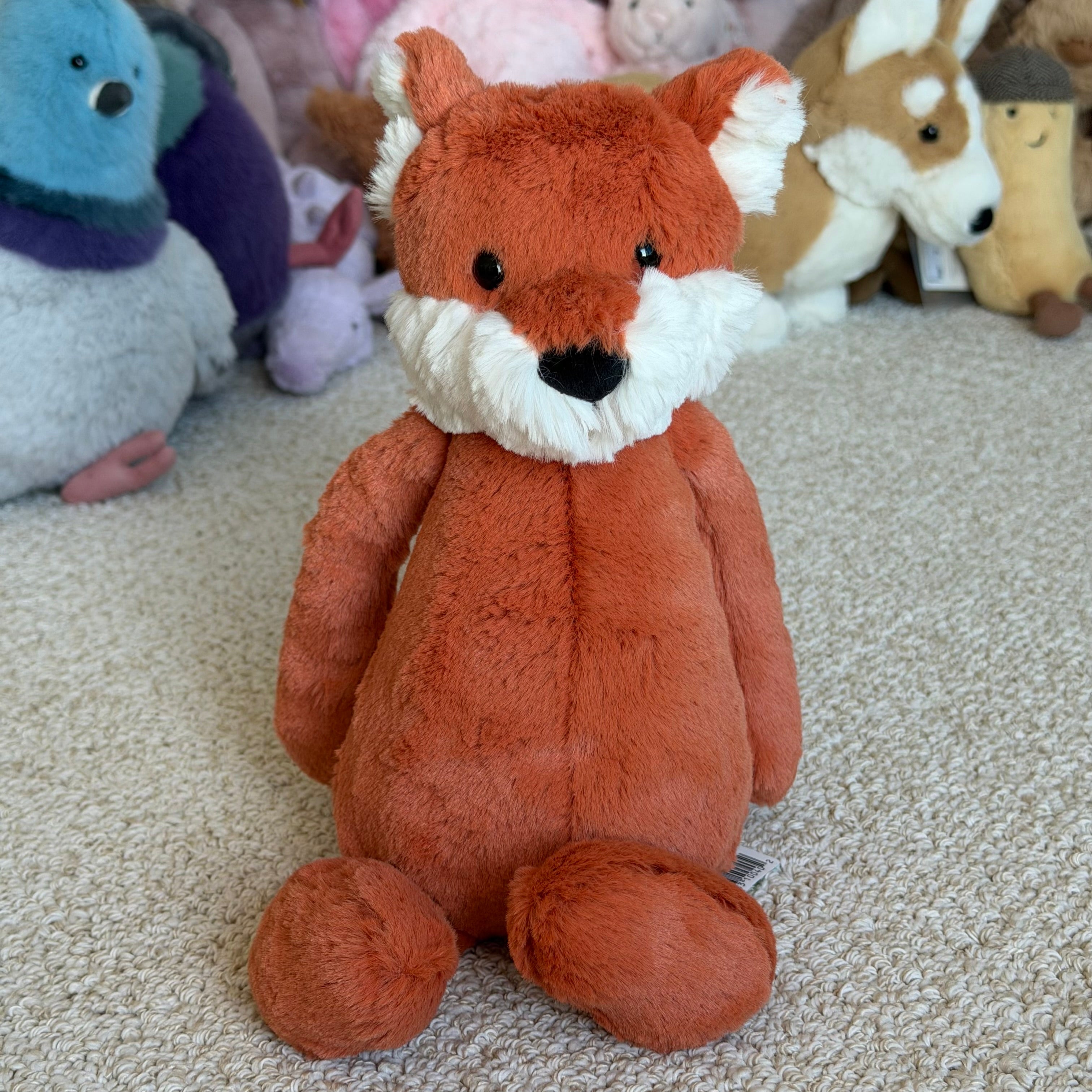 Medium Bashful Fox