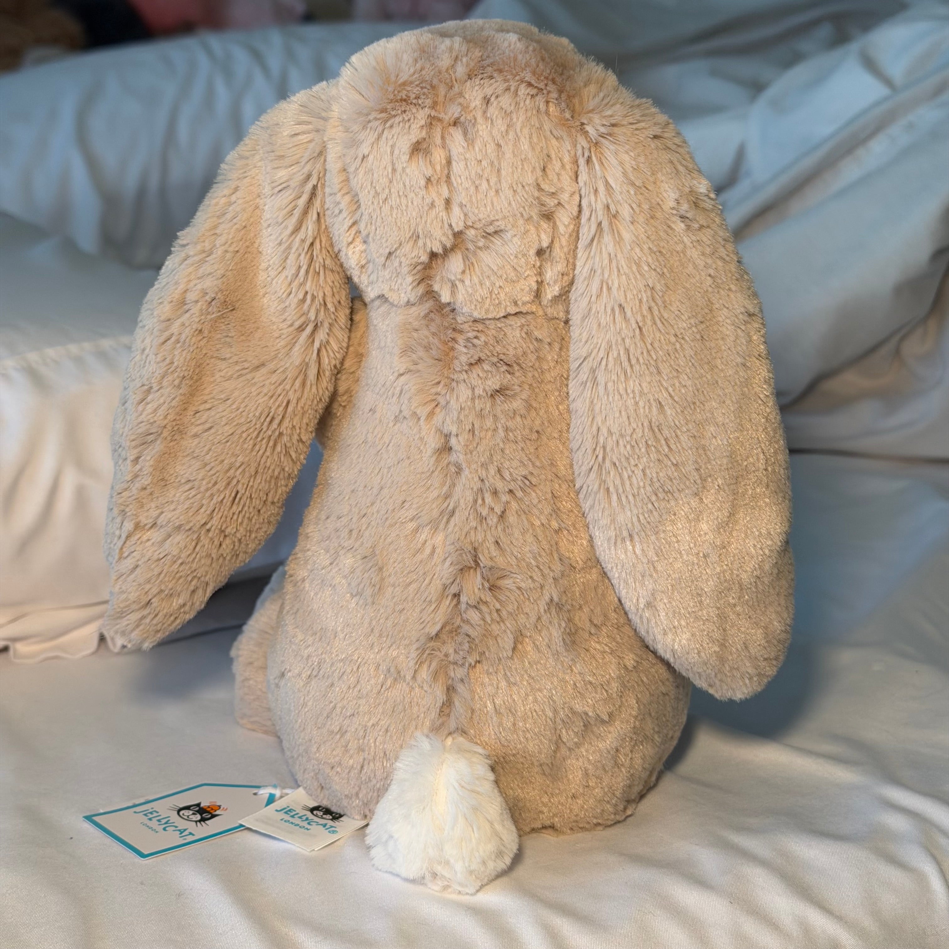 Birthday Bunny