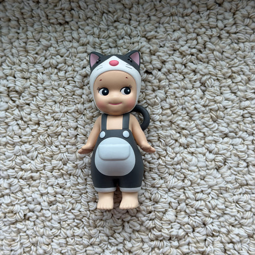 Opened Cat Life Series