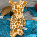 Bashful Giraffe