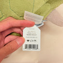 Timmy Turtle Garden Gnome