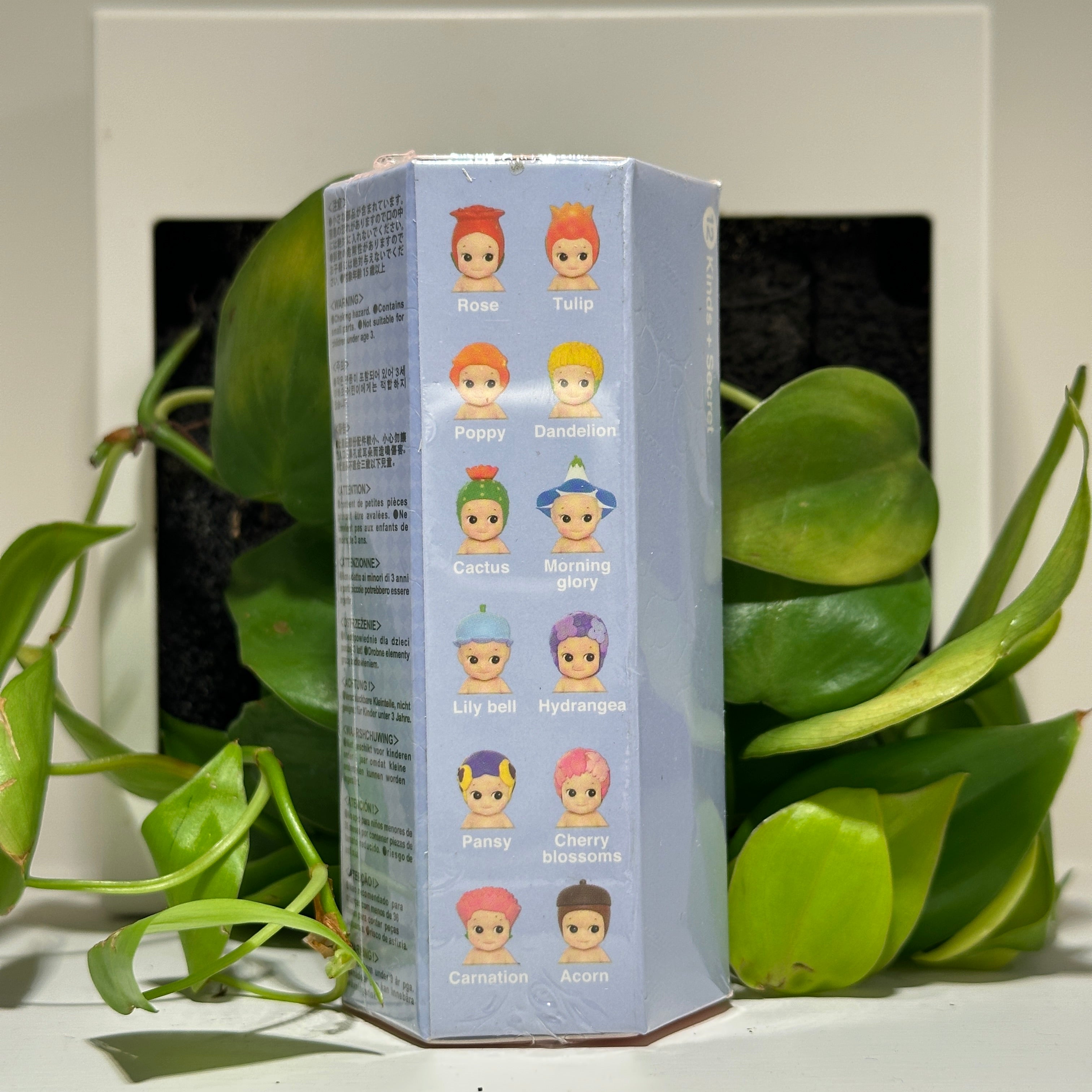 Unrefined Flower Series