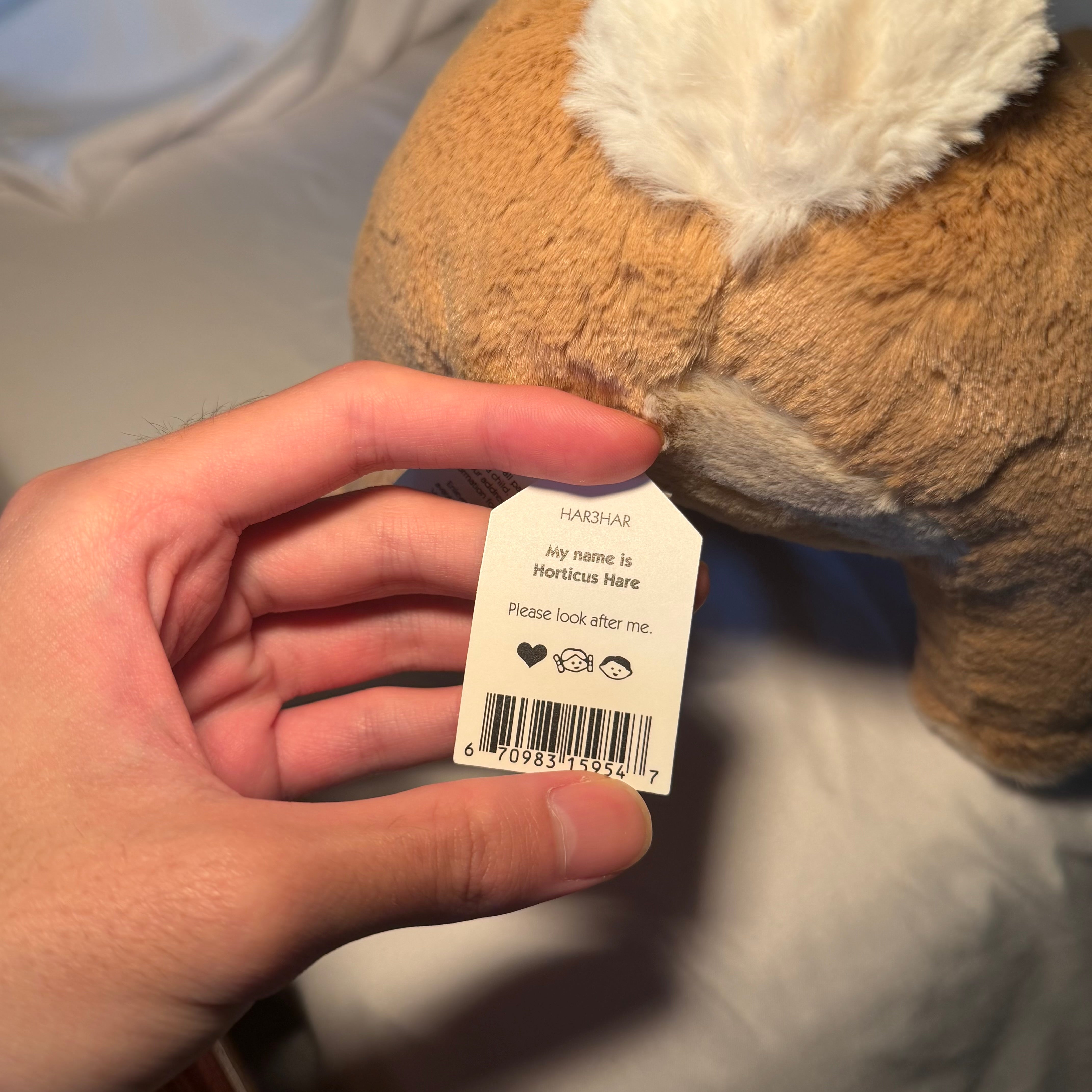 Horticus Hare