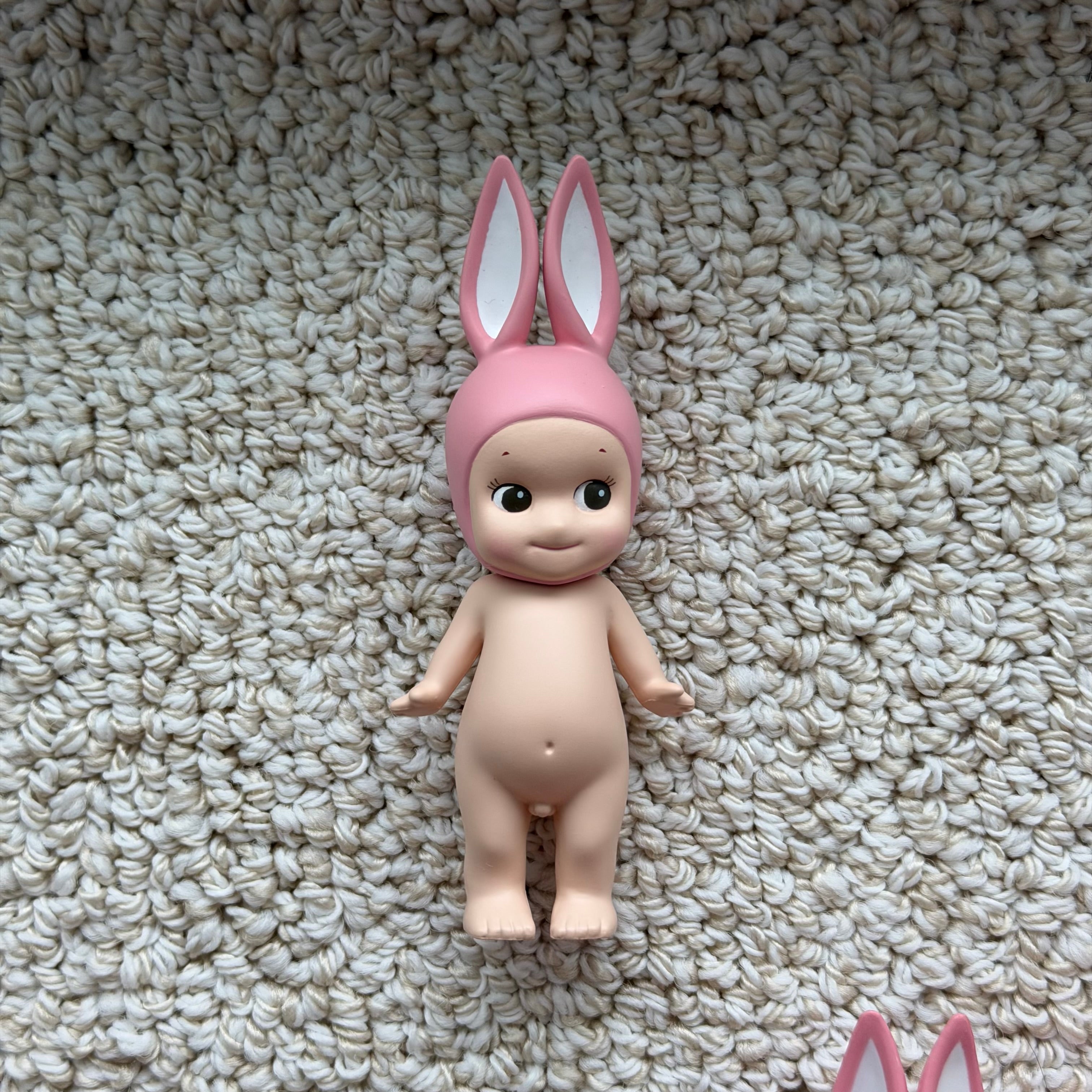 Opened Unrefined/Regular Animal Ver.1 Series