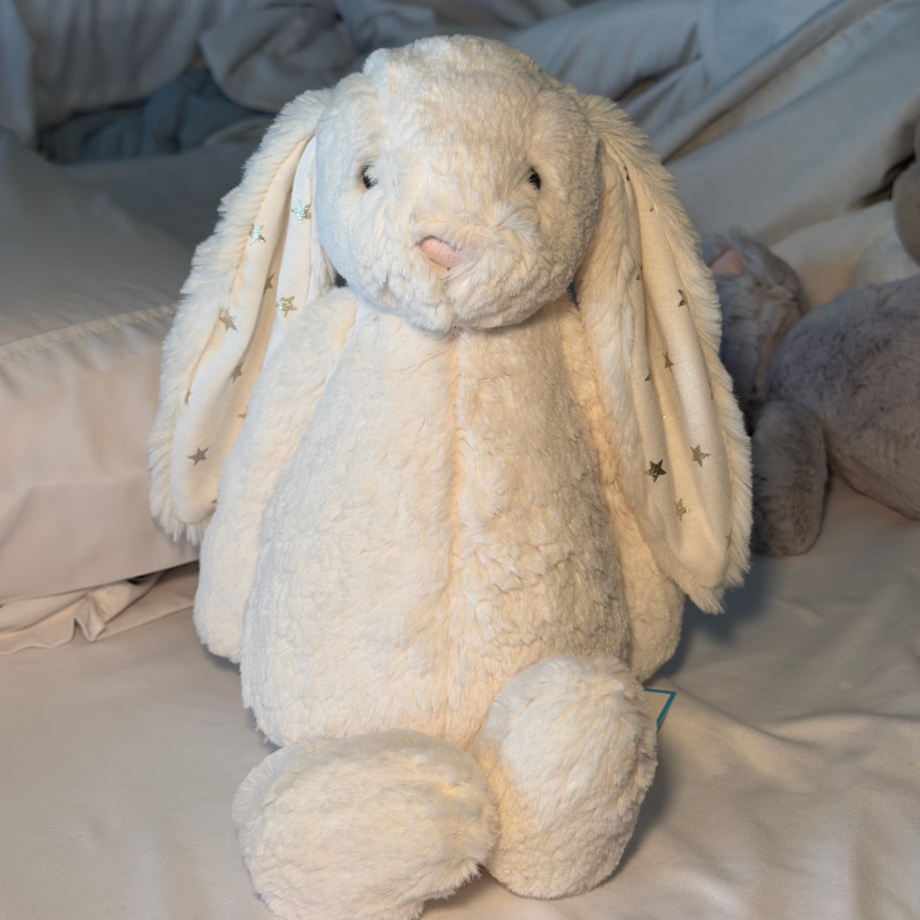 Twinkle Bunny