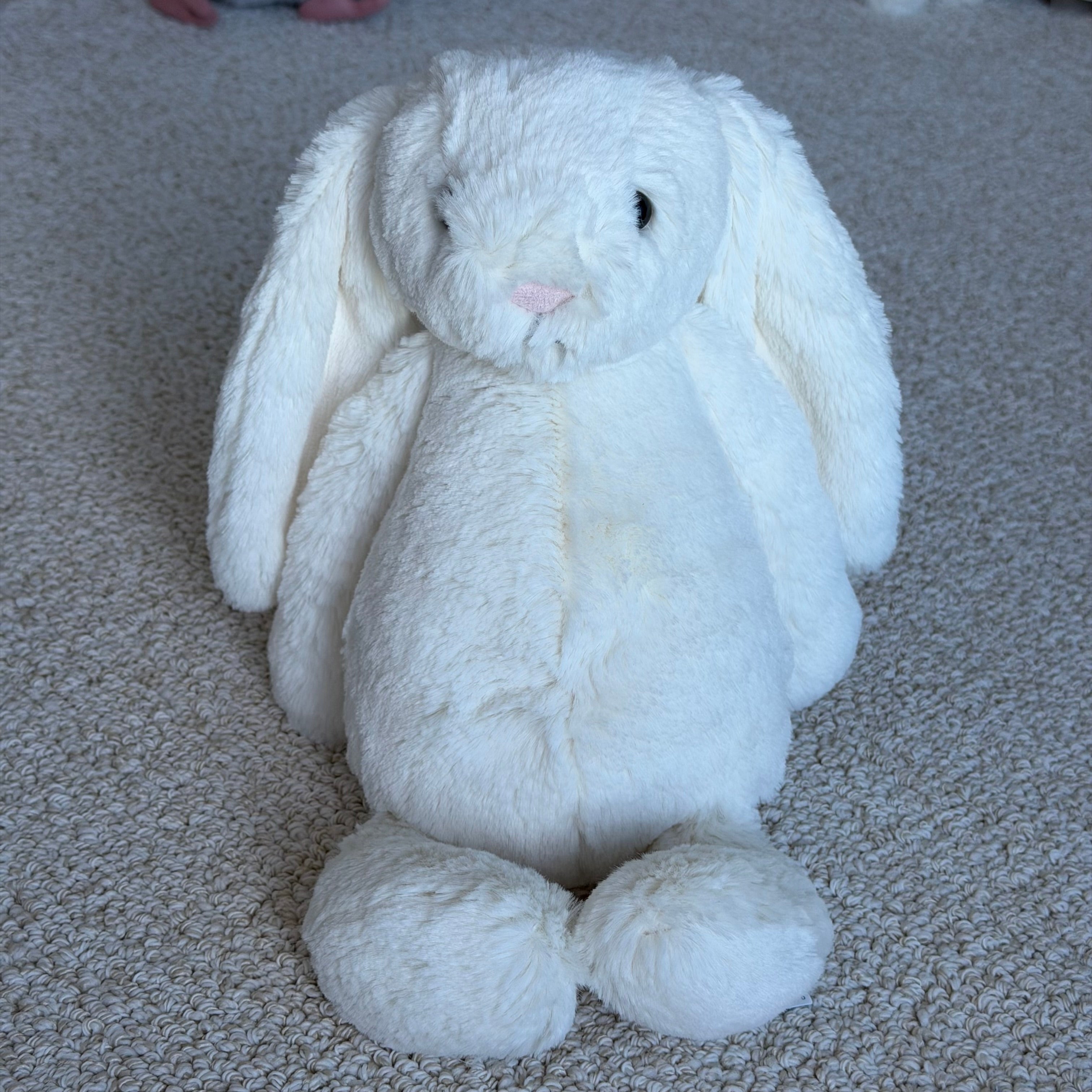 Medium Cream Bunny