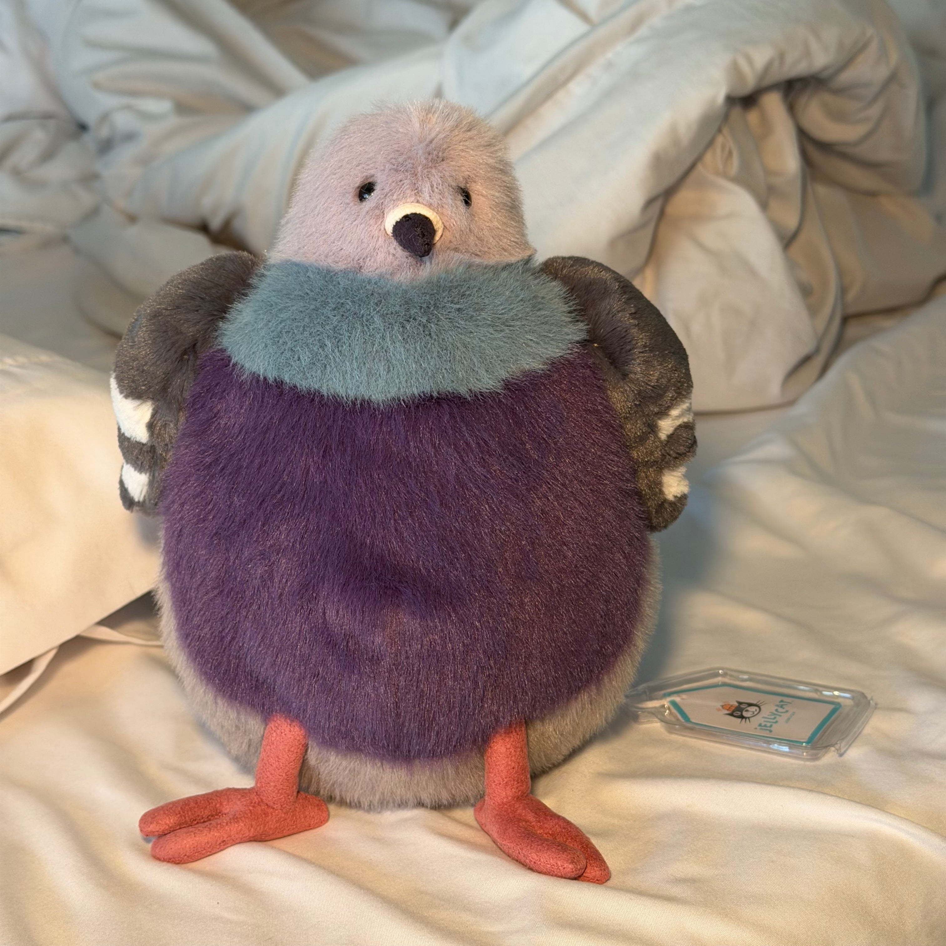 Leicester Pigeon