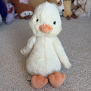 Bashful Duck