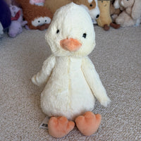 Bashful Duck