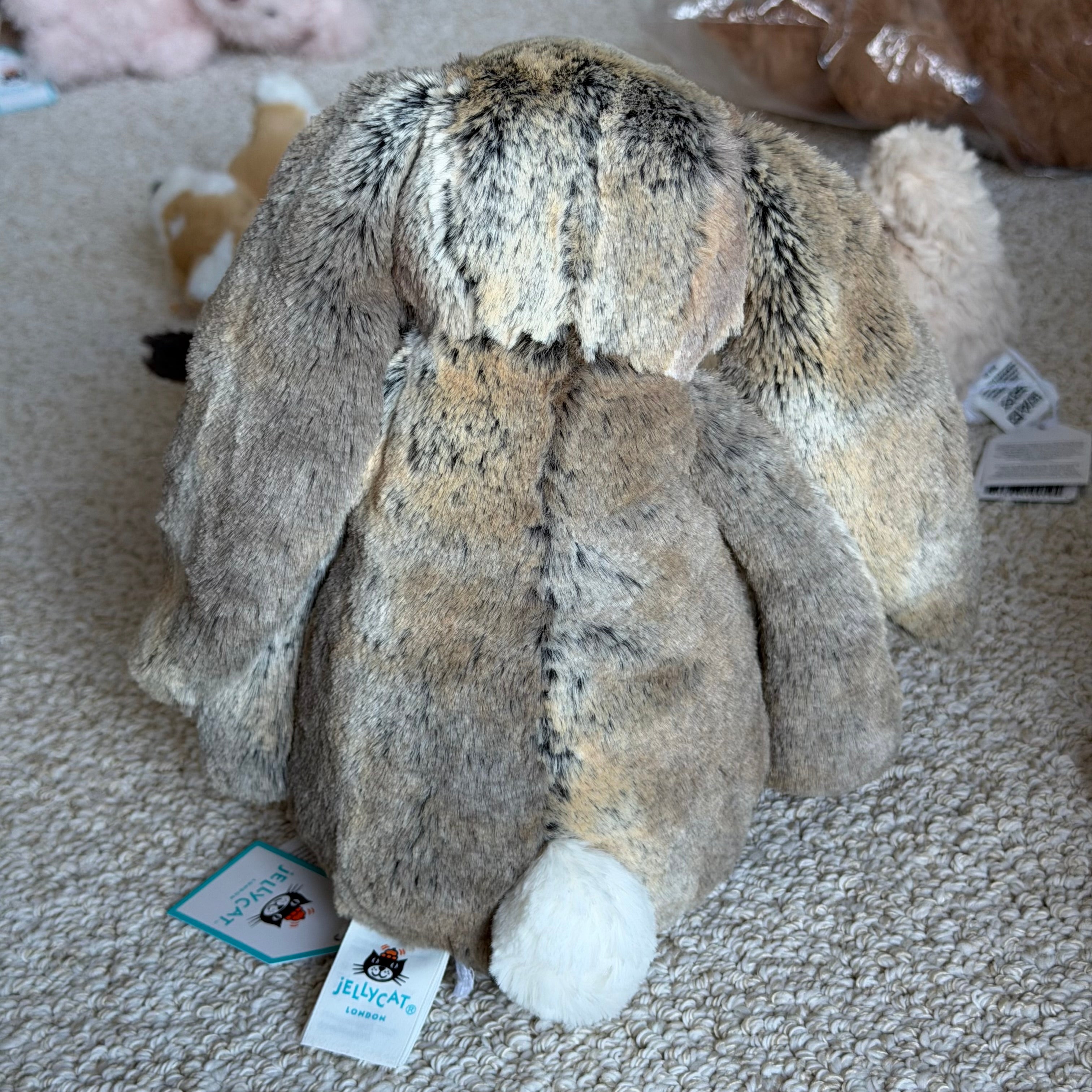 Medium Bashful Woodland Bunny