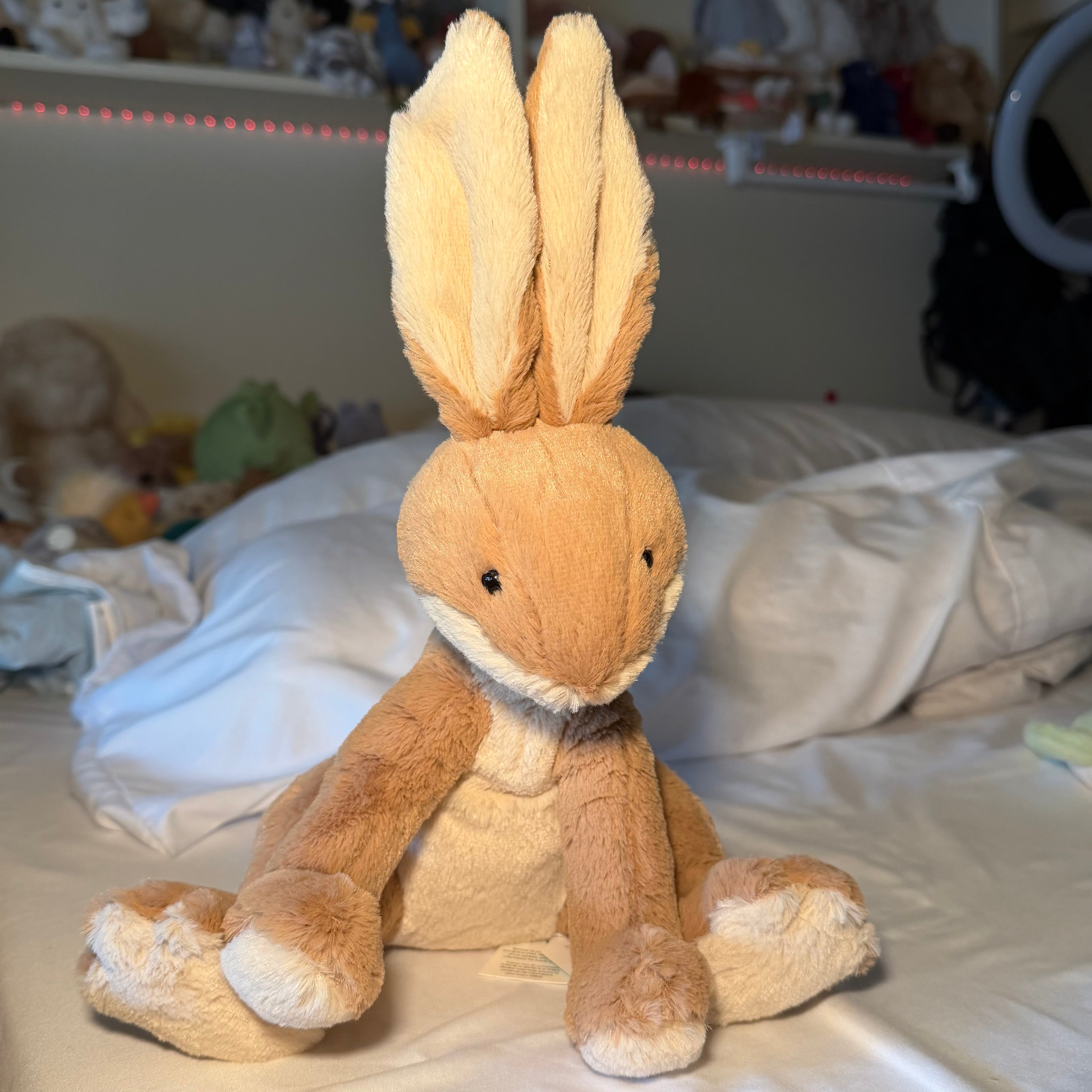 Horticus Hare