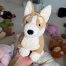 Betty Corgi
