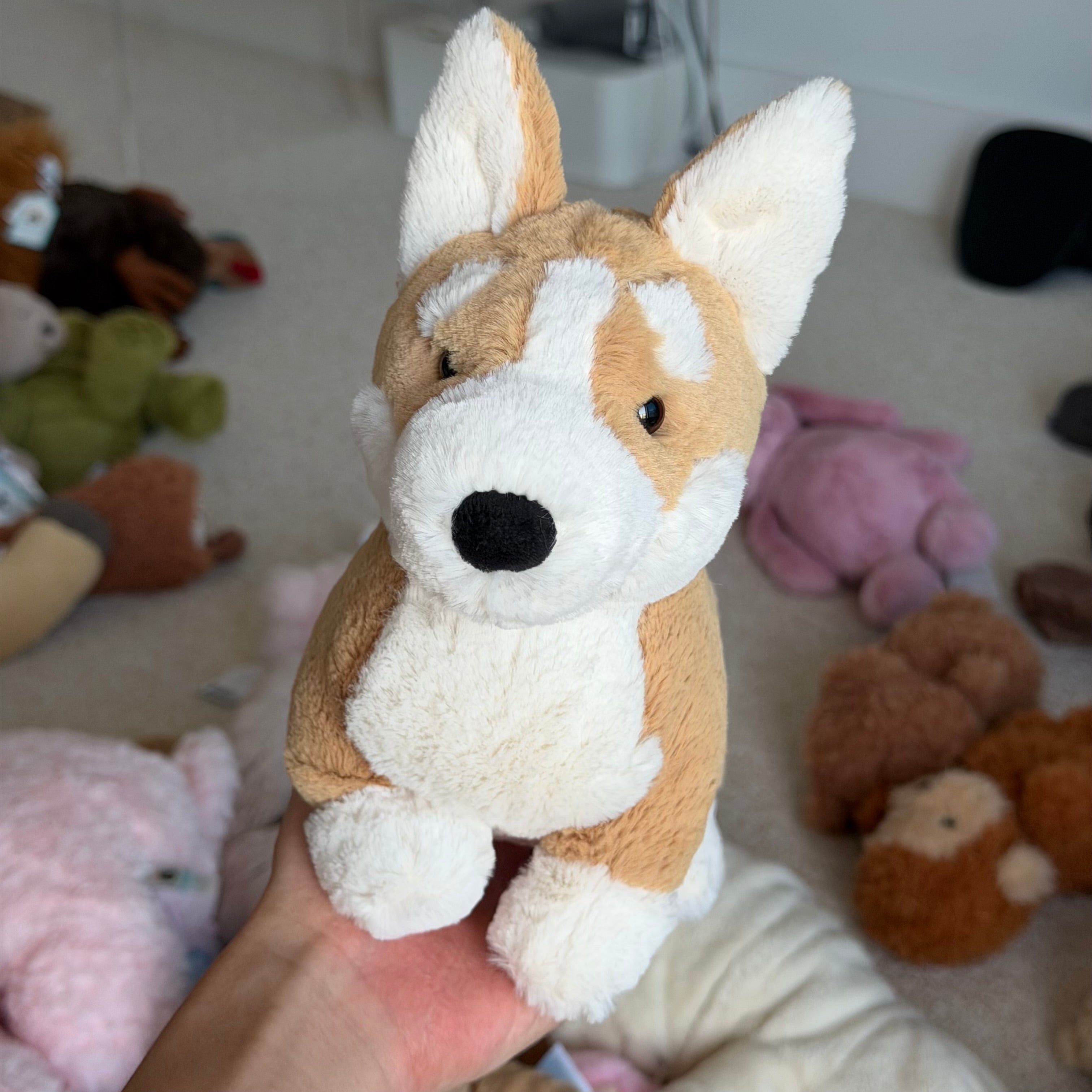 Betty Corgi