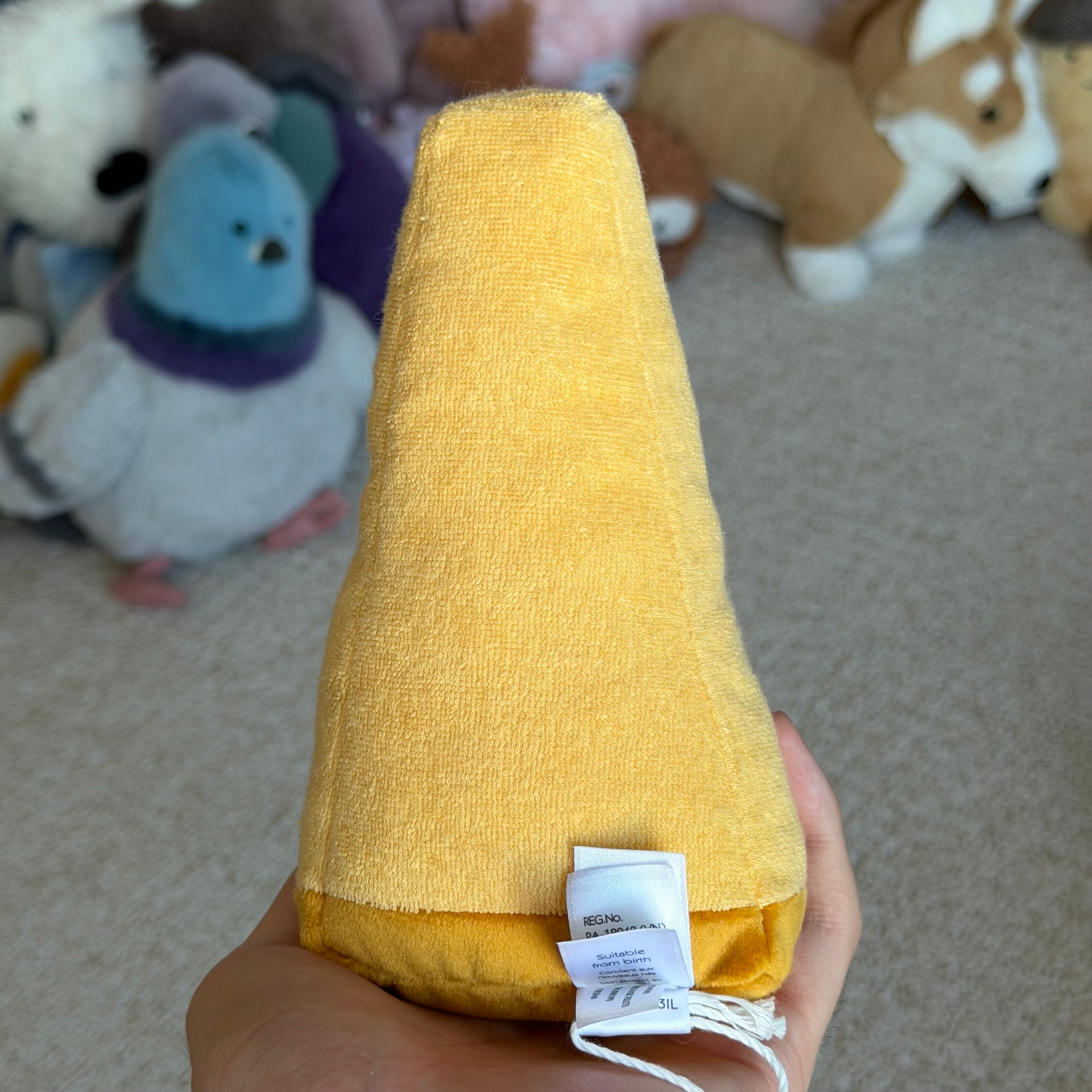 Parmesan