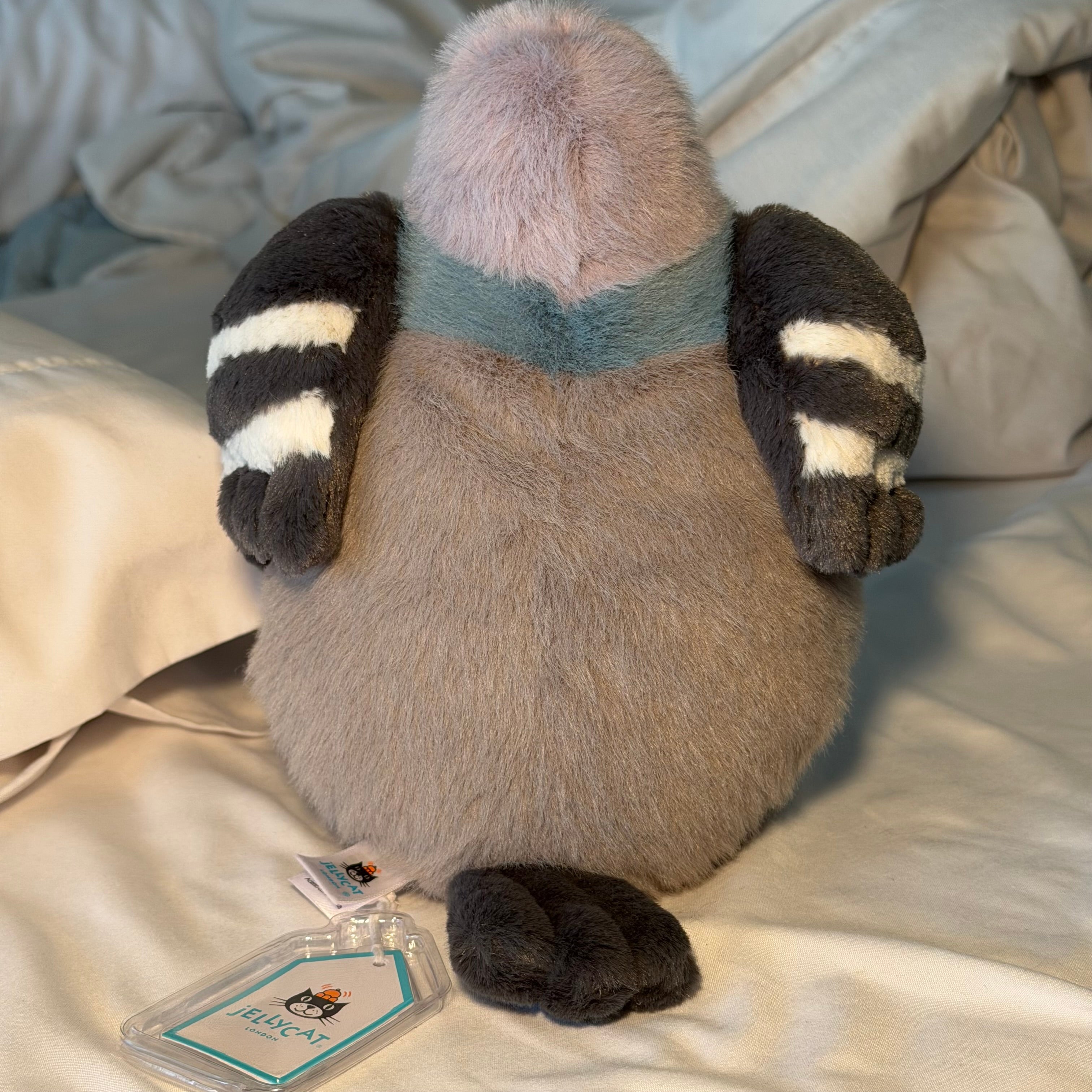 Leicester Pigeon
