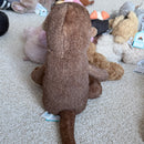 Brooke otter