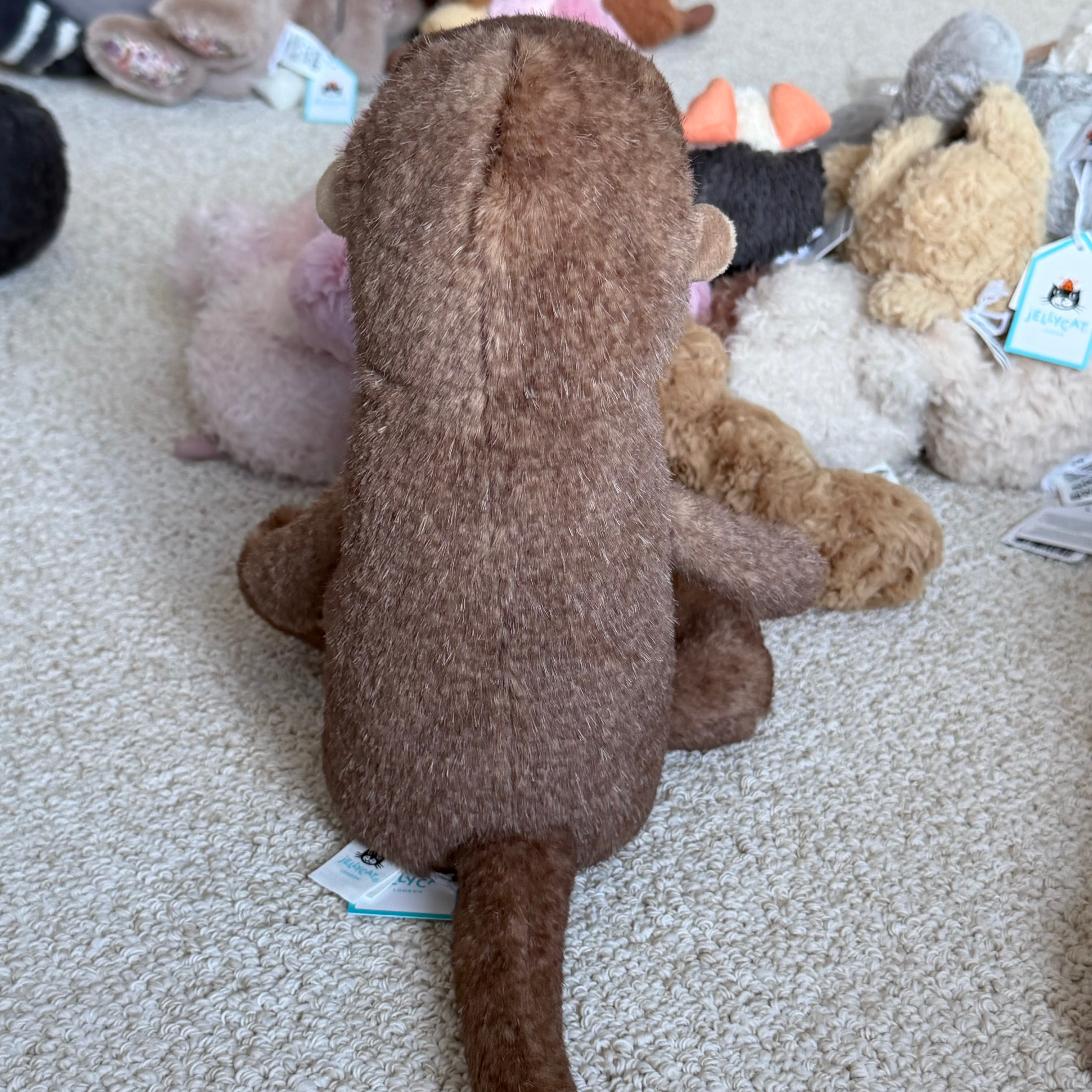 Brooke otter